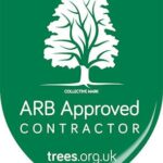 tree surgeon woking - woking tree surgeons