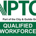 tree surgeon woking - woking tree surgeons