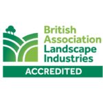 tree surgeon woking - woking tree surgeons